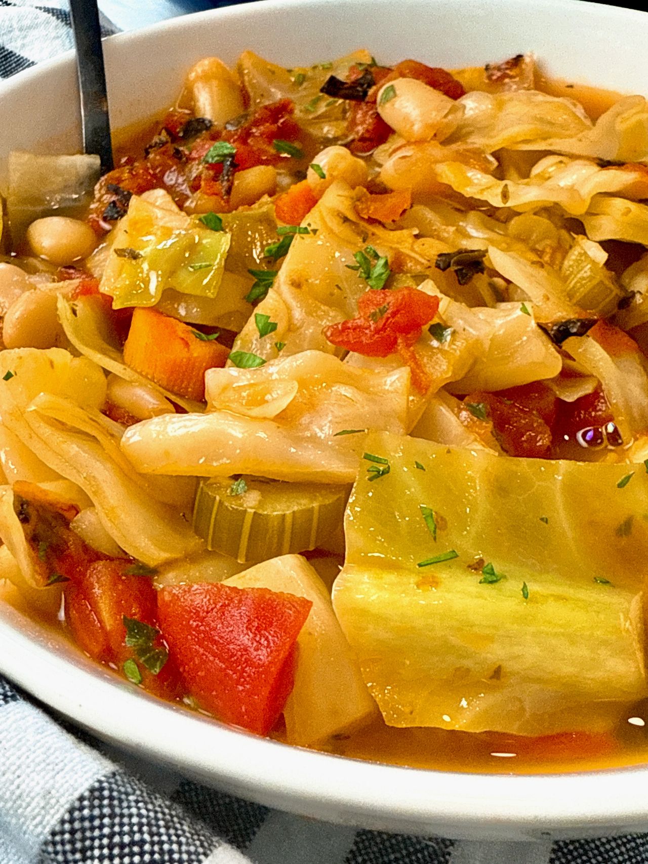 Cabbage Soup in a white bowl with a black spoon 