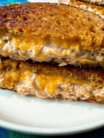 tuna melt on a plate