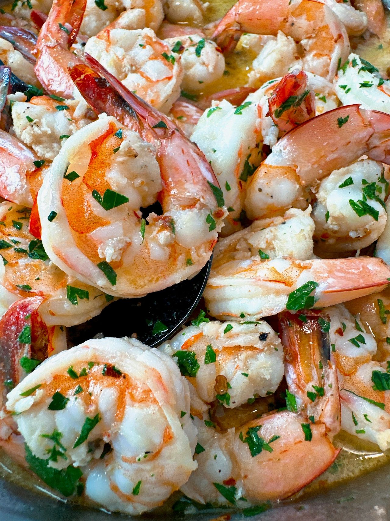 shrimp scampi