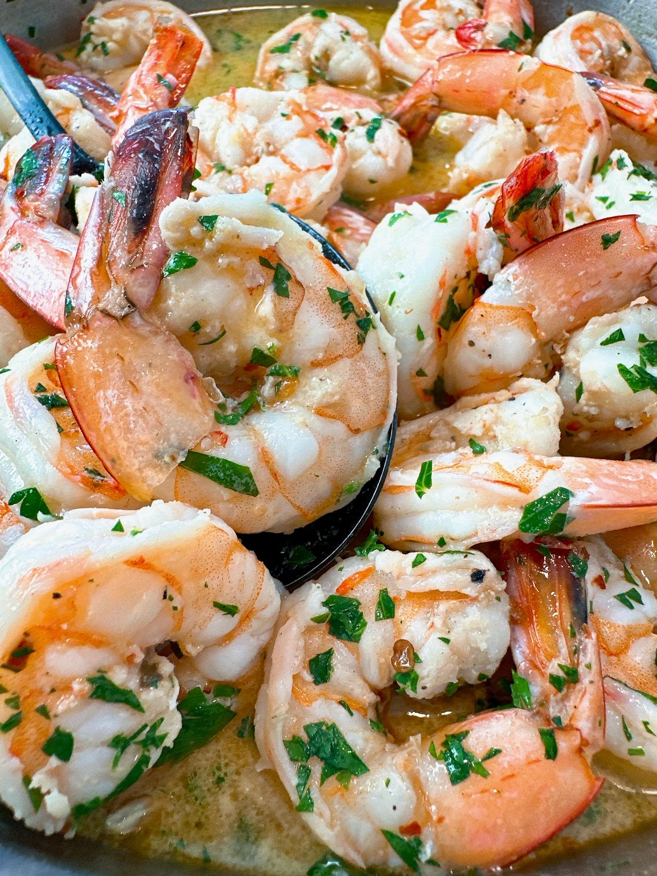 shrimp scampi