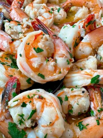 shrimp scampi