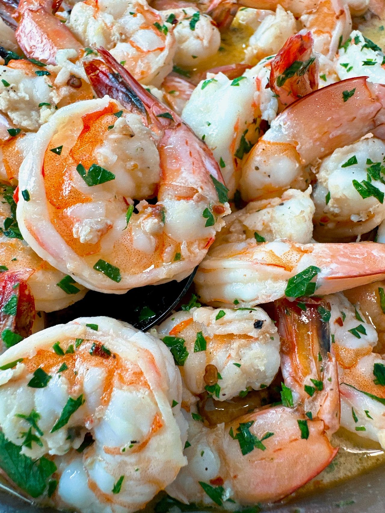 shrimp scampi