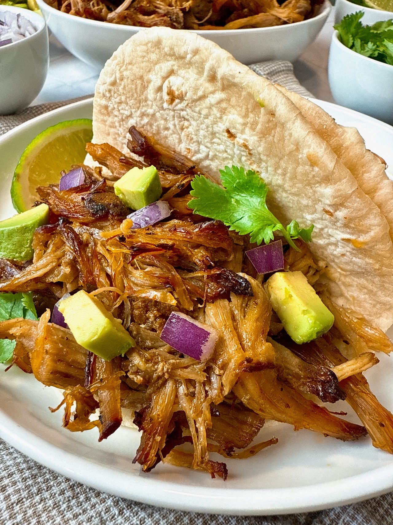 pork carnitas with avocado on a white plate
