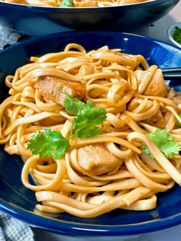 teriyaki chicken and noodles