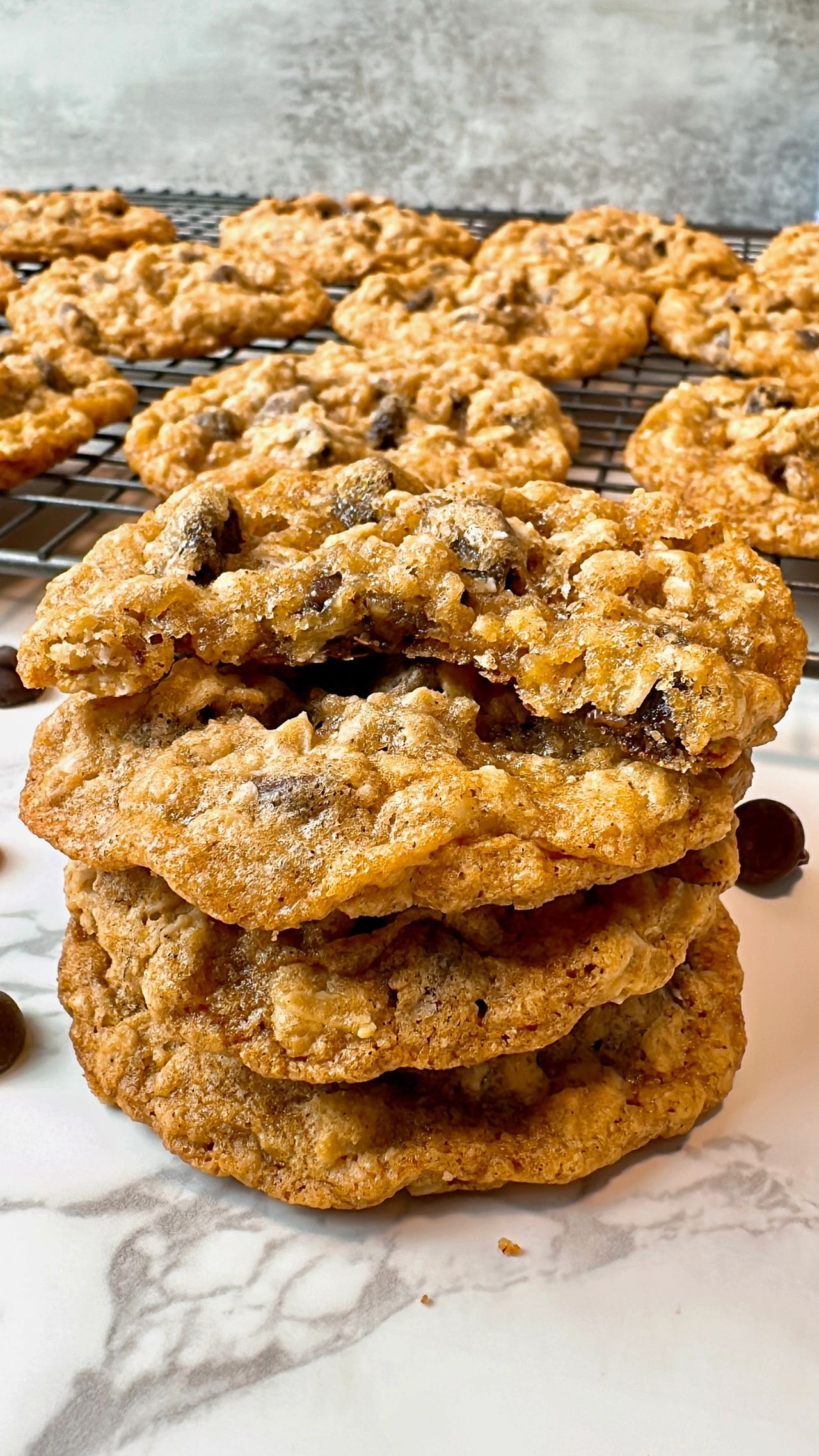 oatmeal chocolate chip cookies