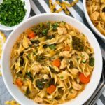 chicken noodle soup
