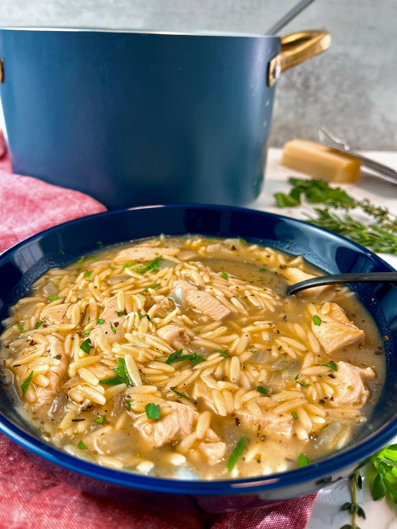 chicken and orzo soup