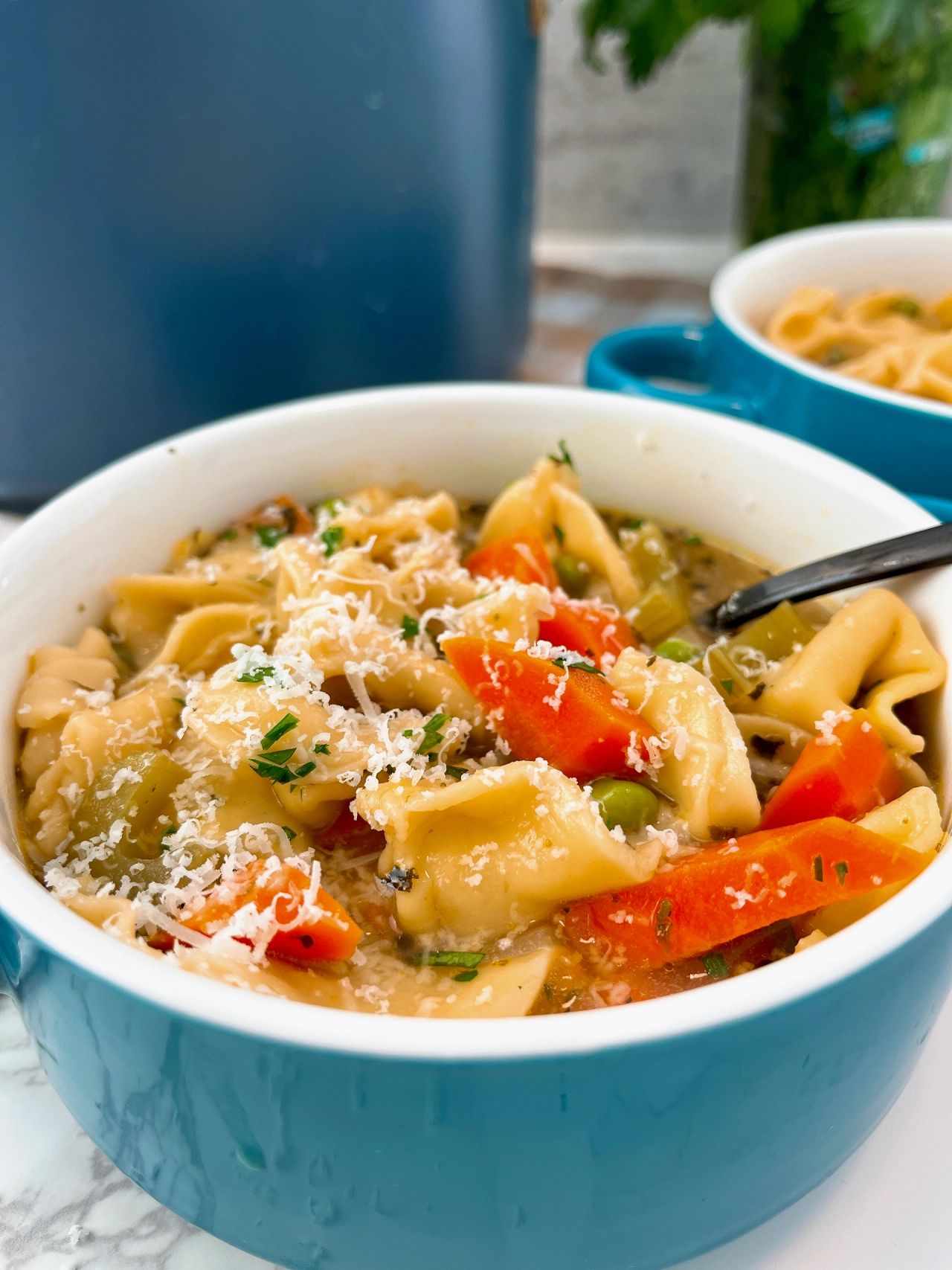 tortellini soup