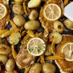 sheet pan chicken and vegetables