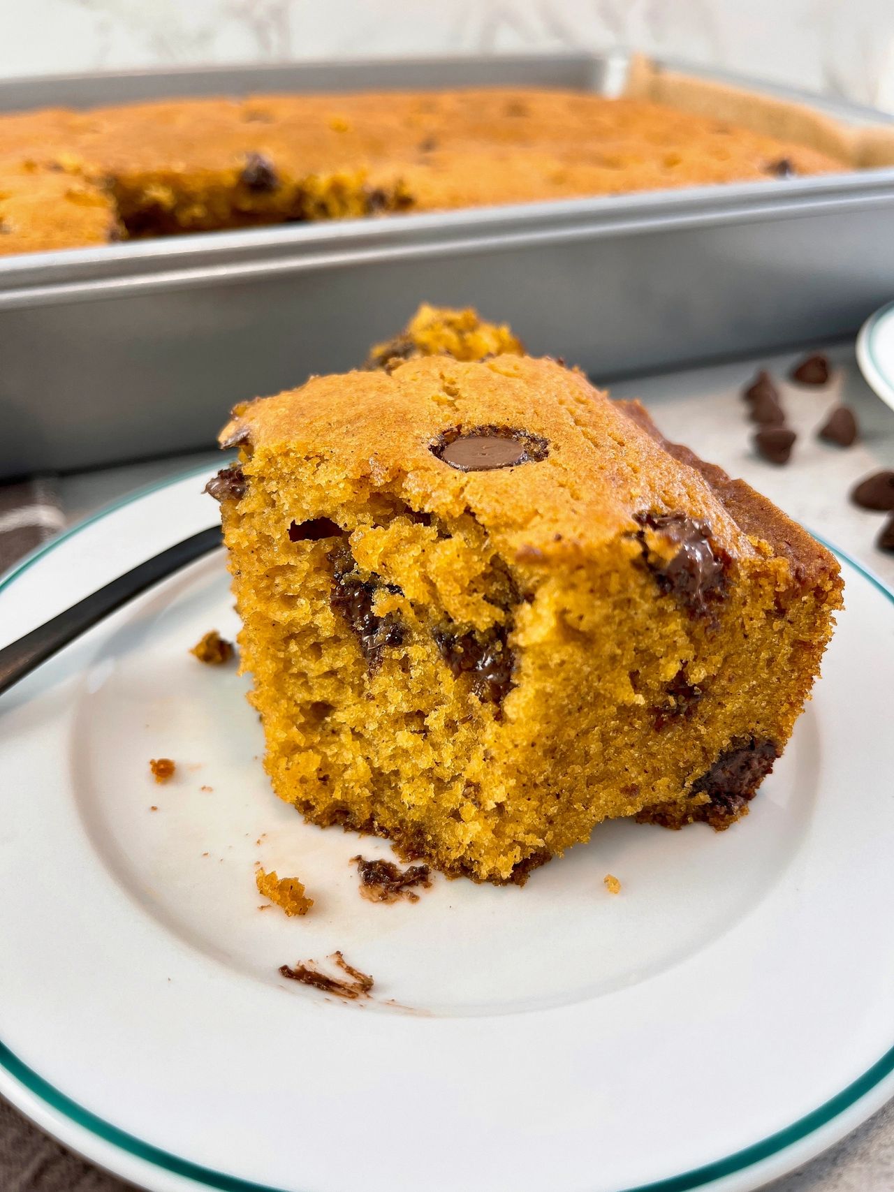 Chocolate Chip Pumpkin Spice Cake 