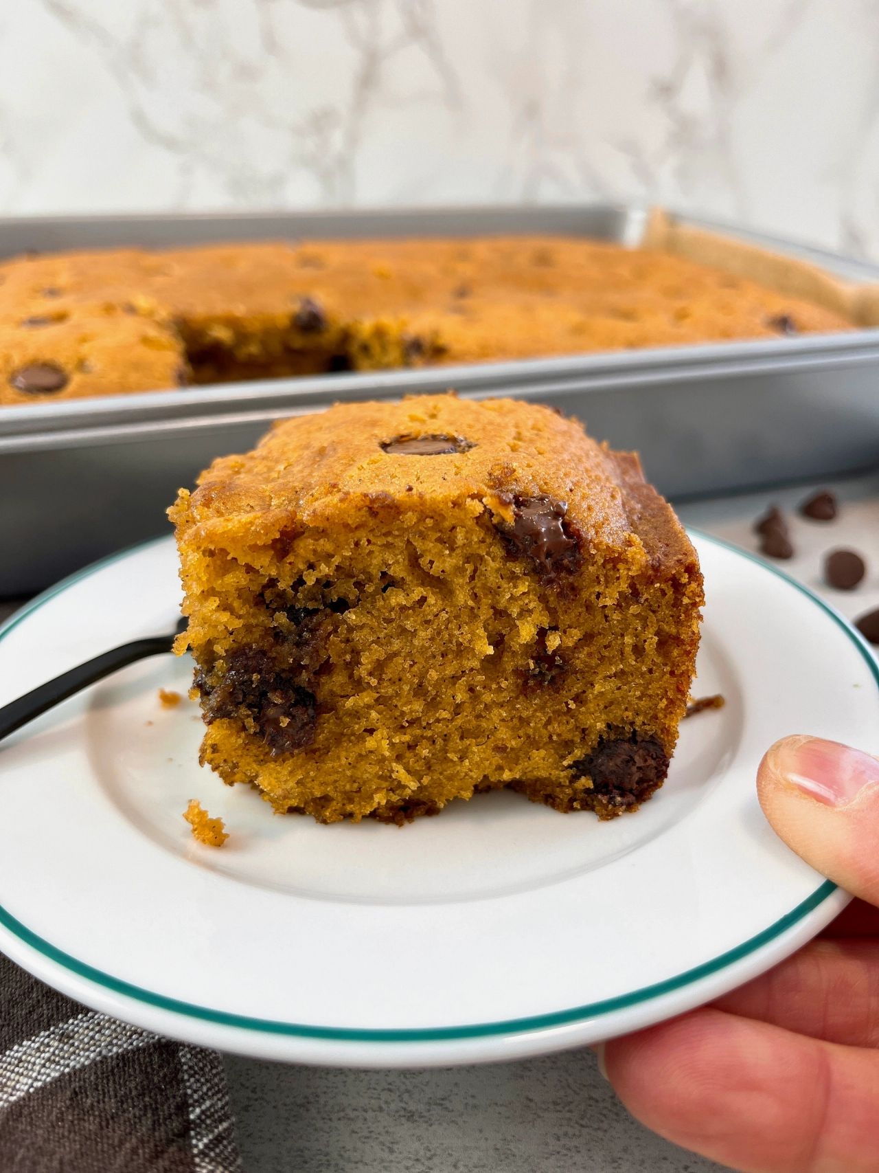 chocolate chip pumpkin spice cake