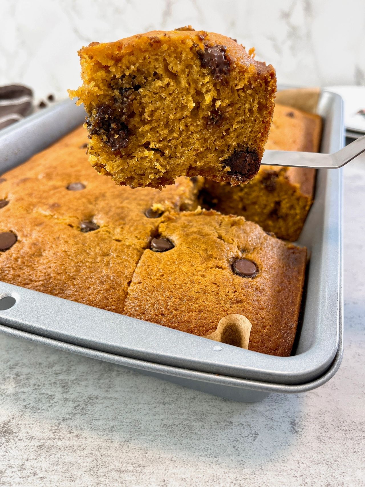 chocolate chip pumpkin spice cake