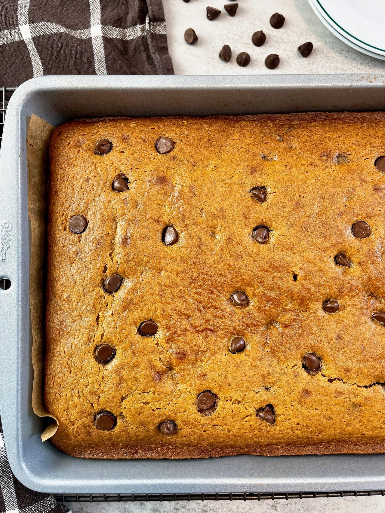 chocolate chip pumpkin spice cake