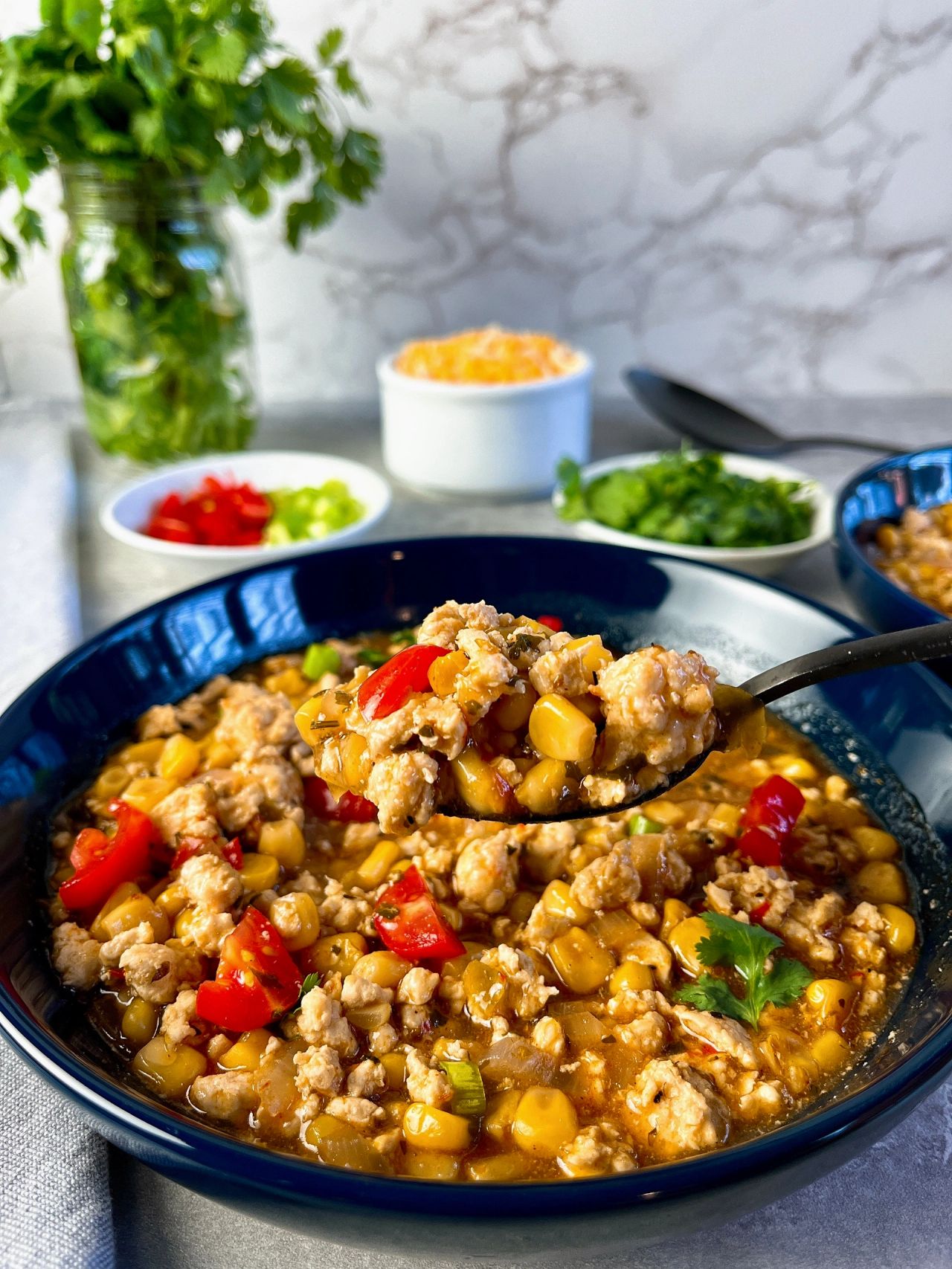 chicken enchilada stew