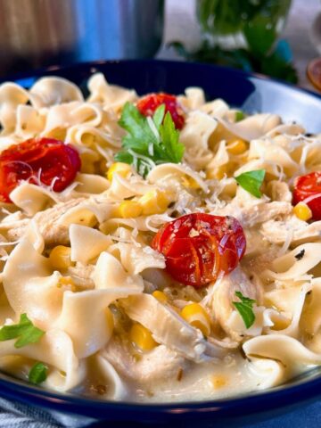 chicken noodle soup with tomatoes