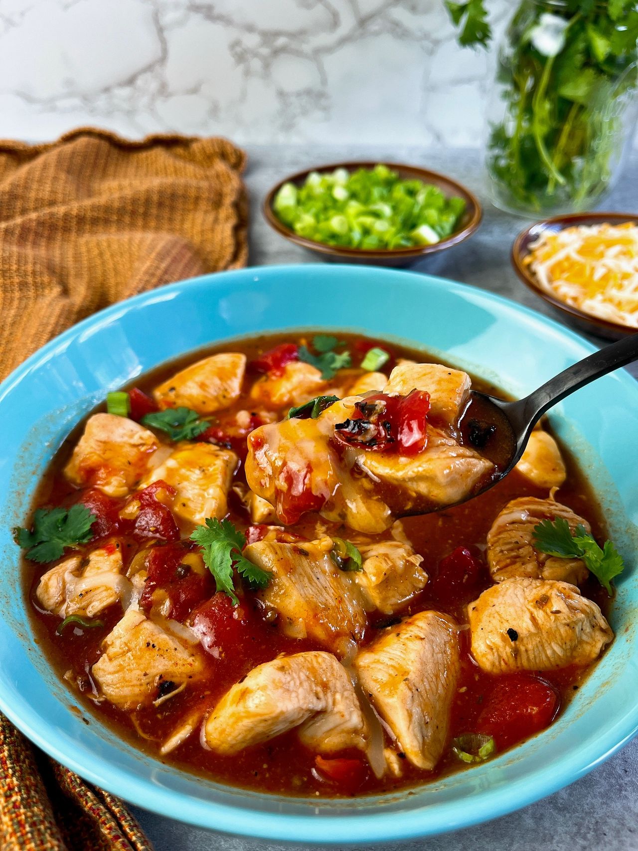 chicken in tomato enchilada sauce