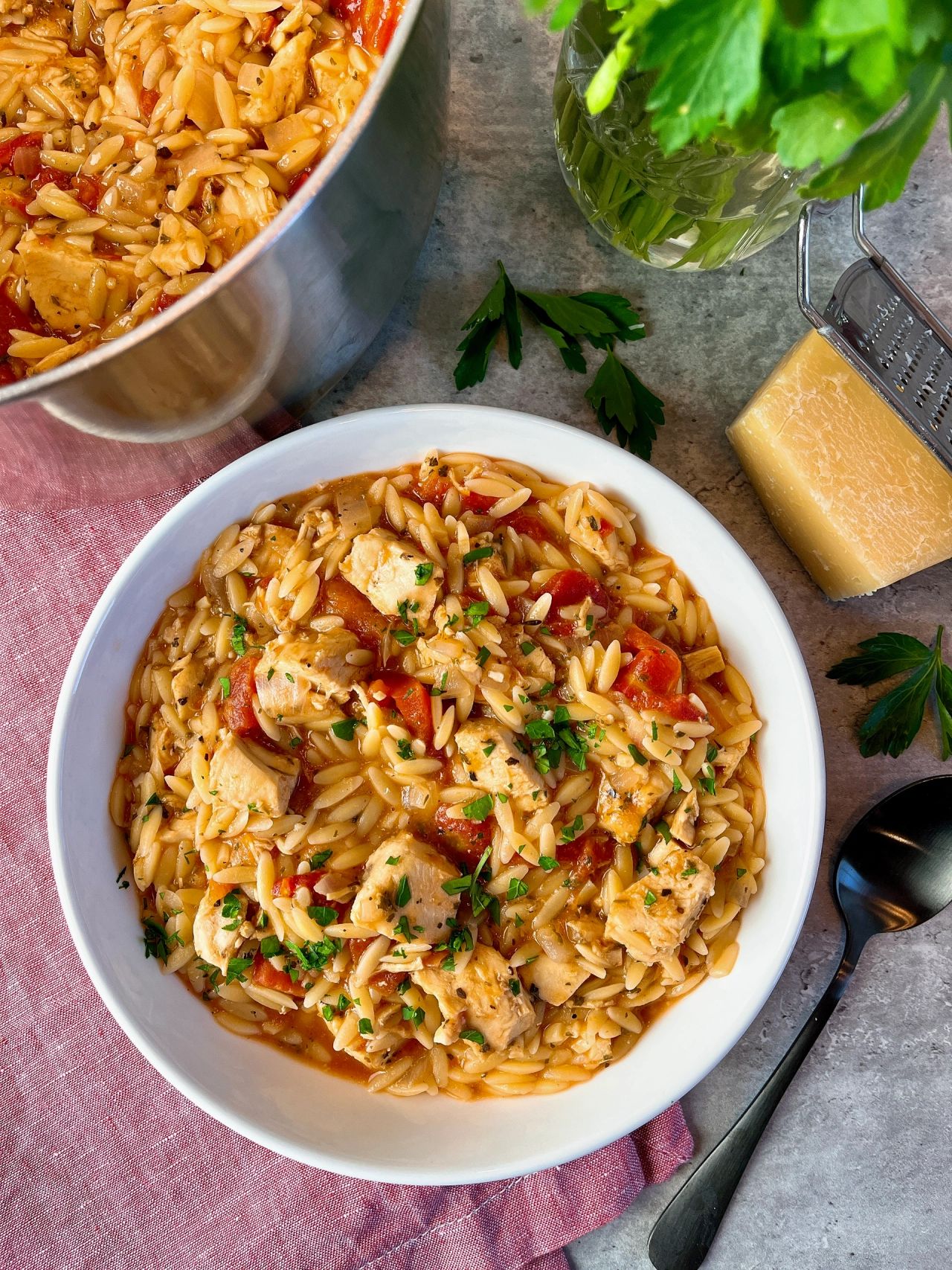 chicken orzo stew