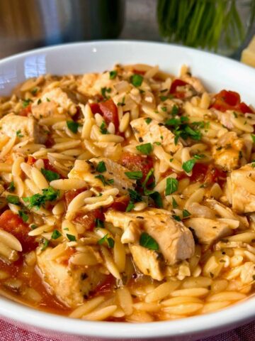 chicken orzo stew