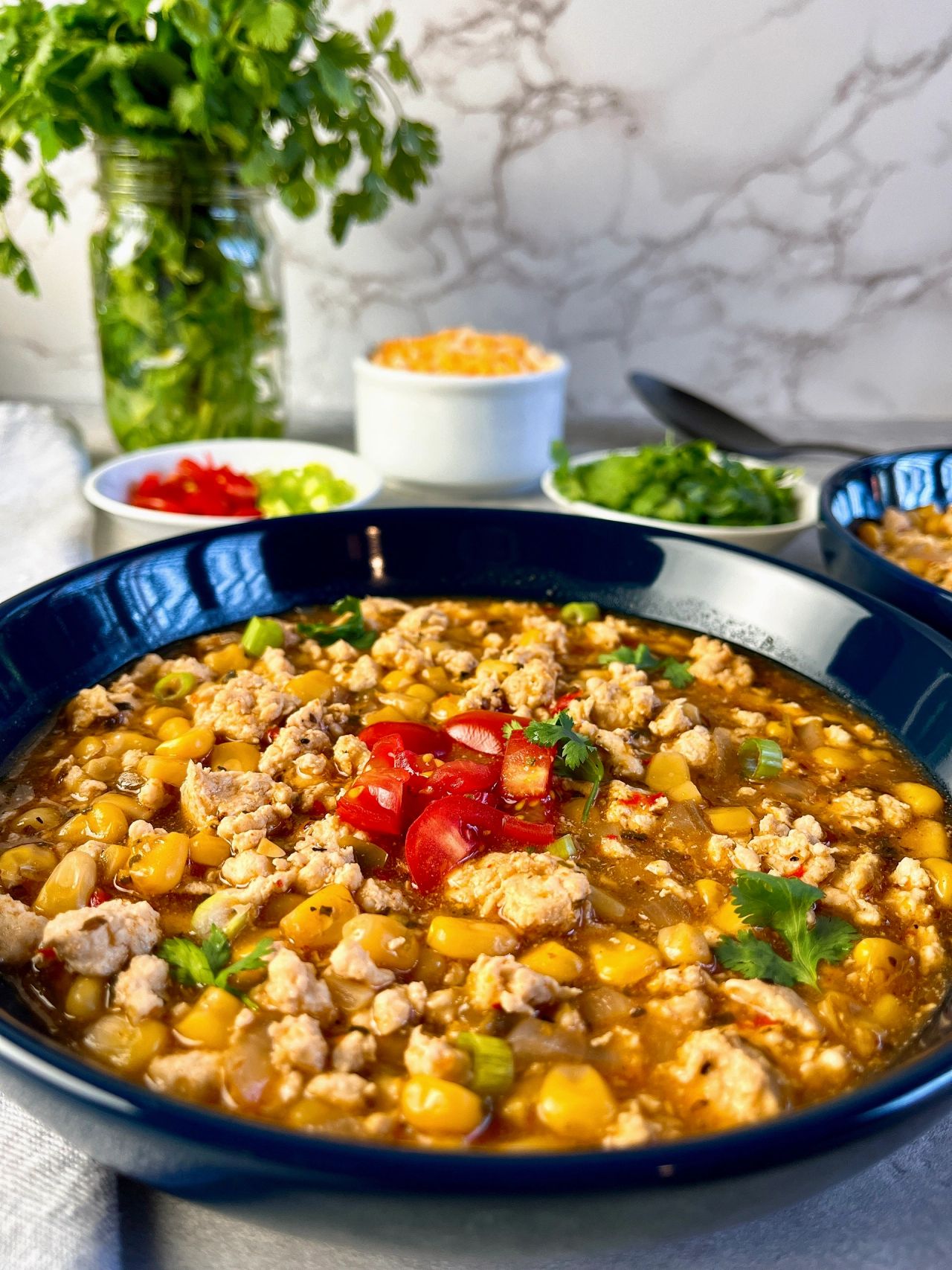 chicken enchilada stew