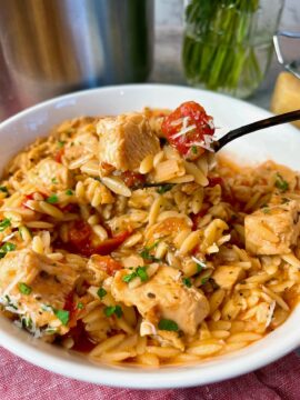 chicken orzo stew