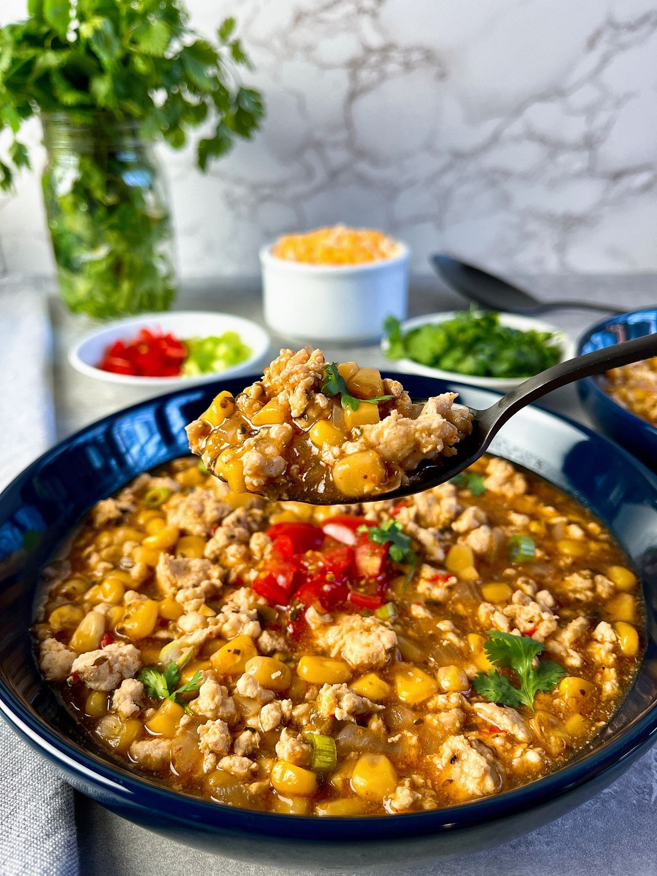 chicken enchilada stew
