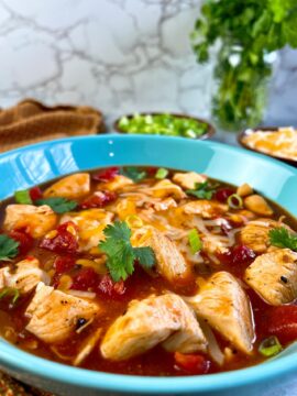 chicken in tomato enchilada sauce