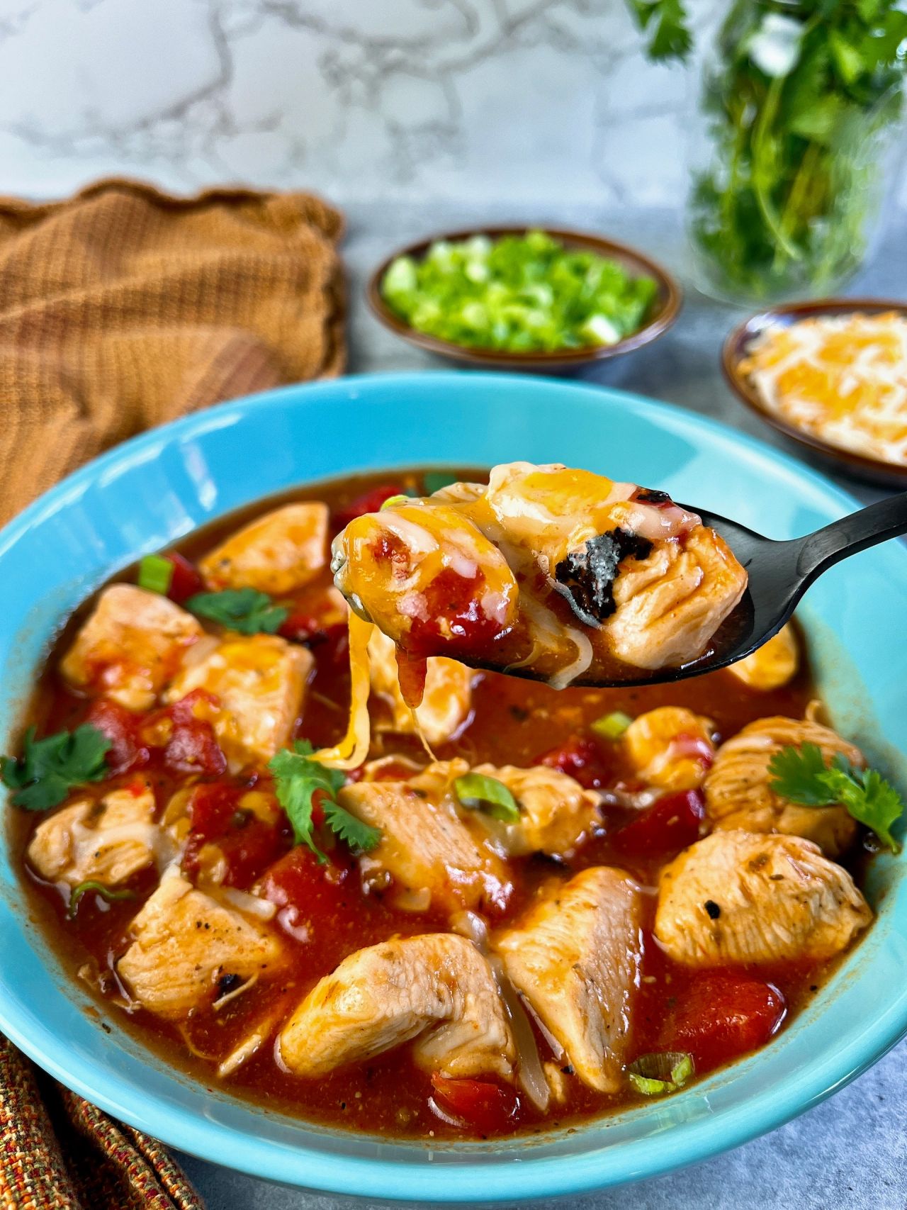 chicken in tomato enchilada sauce
