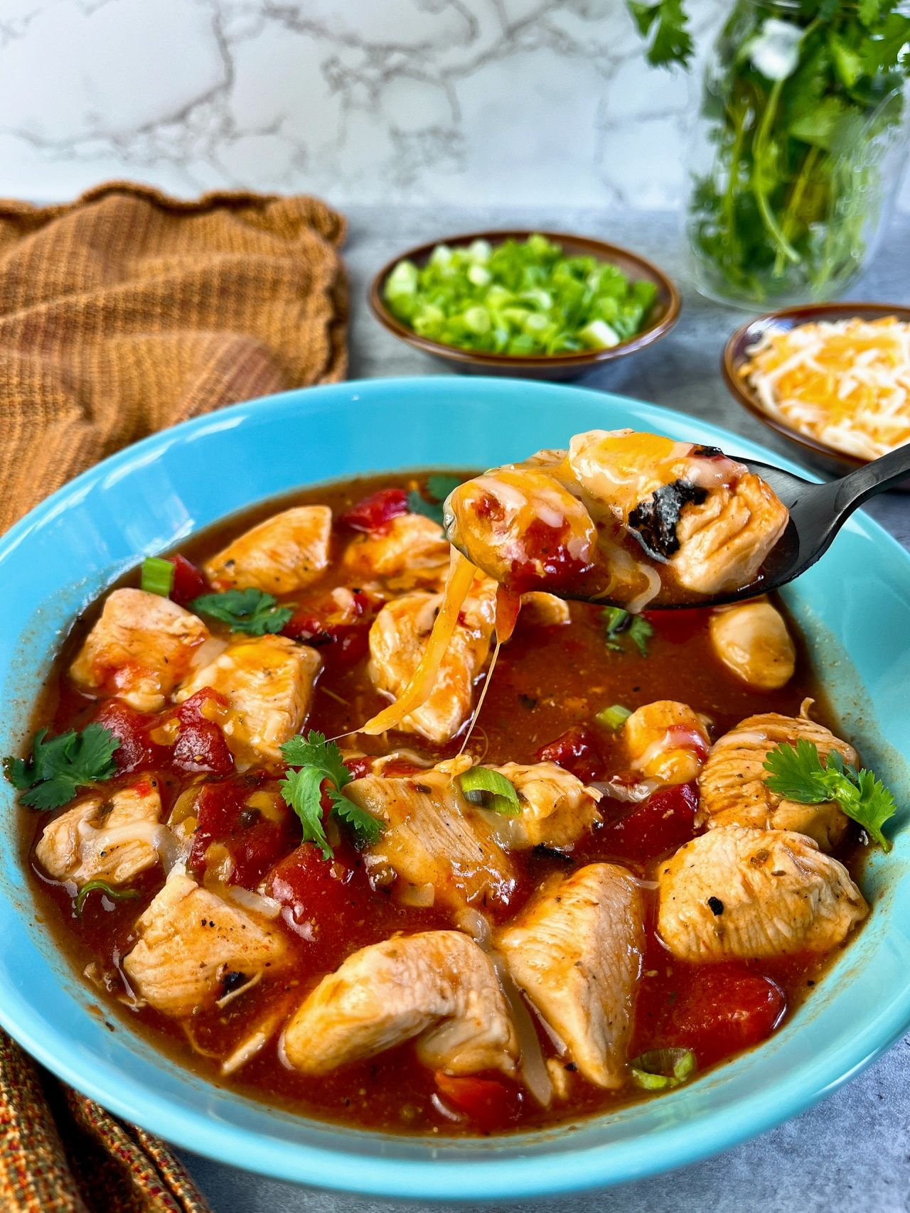 chicken in tomato enchilada sauce