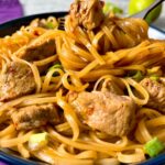 pork noodle bowls