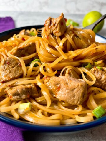 pork noodle bowls