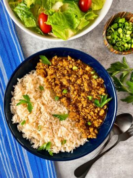 Chicken Sloppy Joe Bowls
