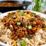 Salsa Beef and Rice