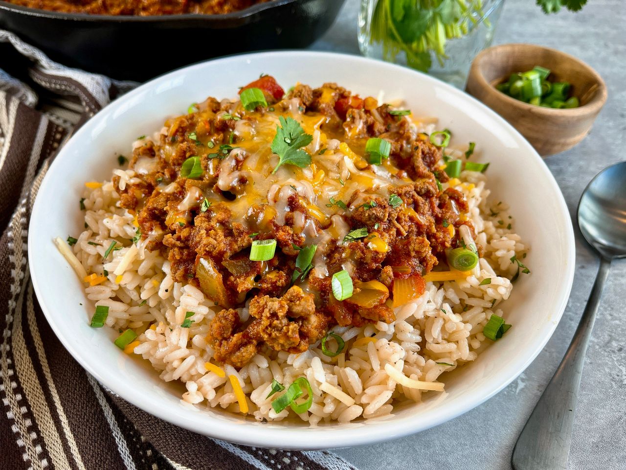 salsa beef and rice