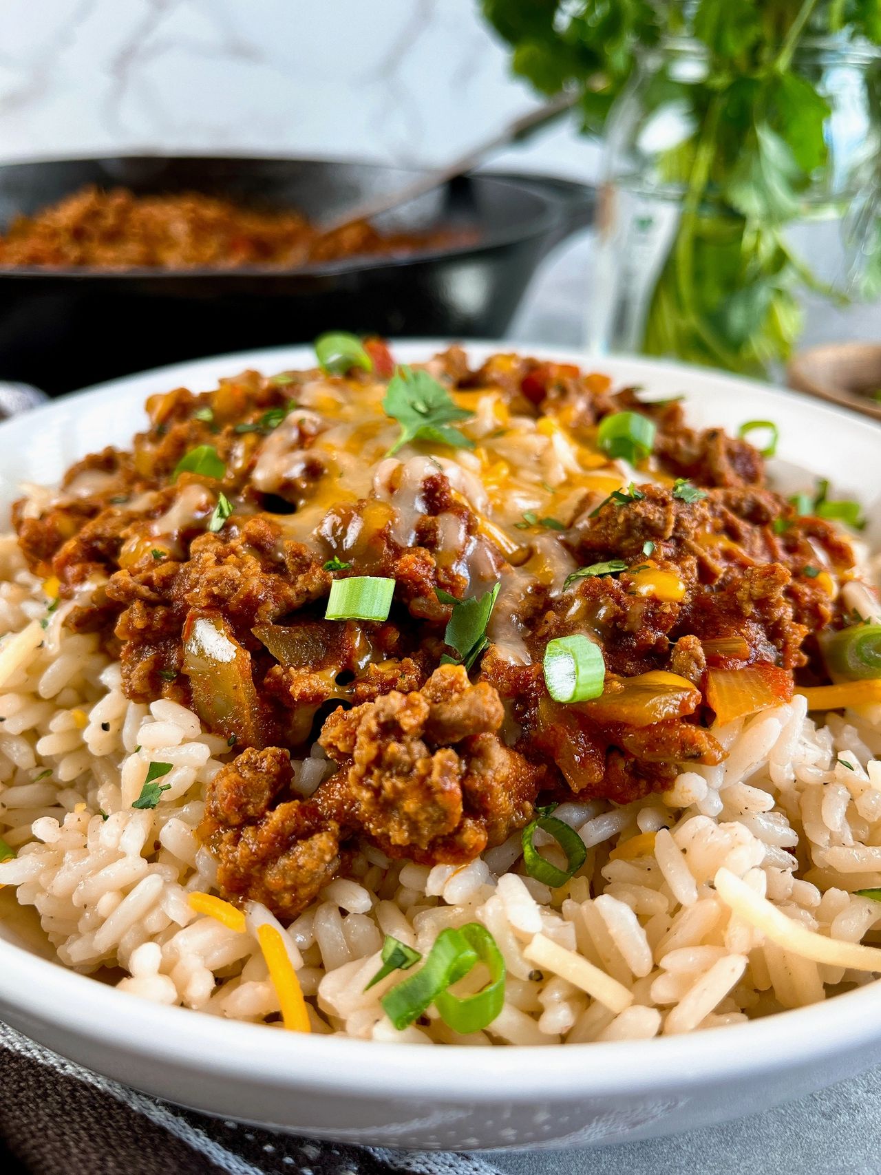 salsa beef and rice