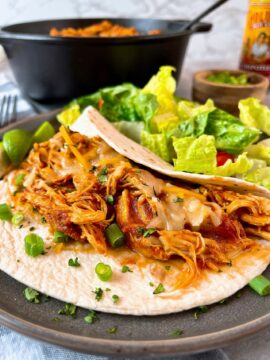 Pulled Mexican Chicken