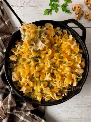 Chicken Tetrazzini